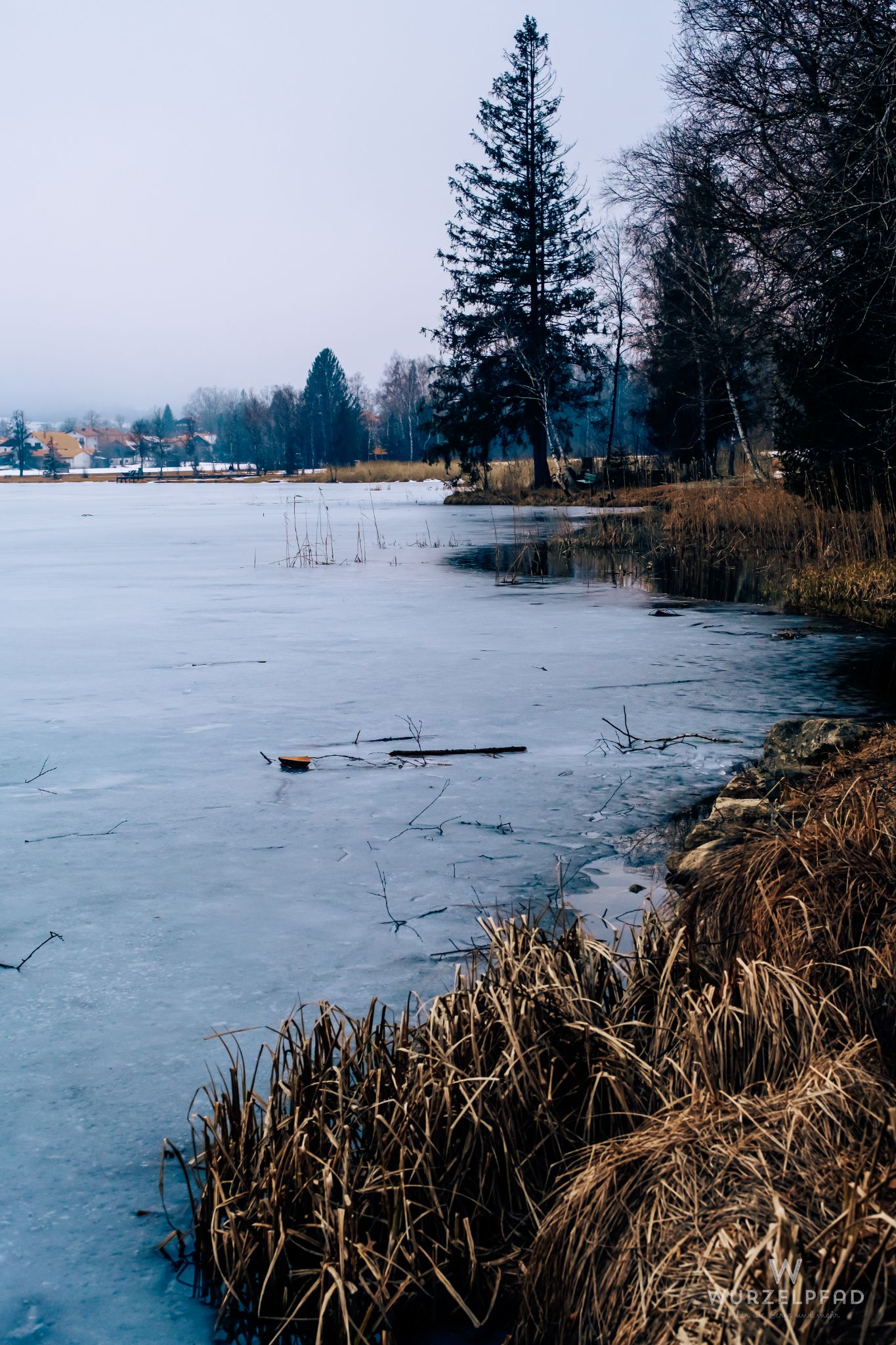 Am Bayersoierner See